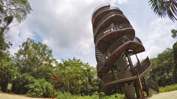 Chestnut Observation Tower