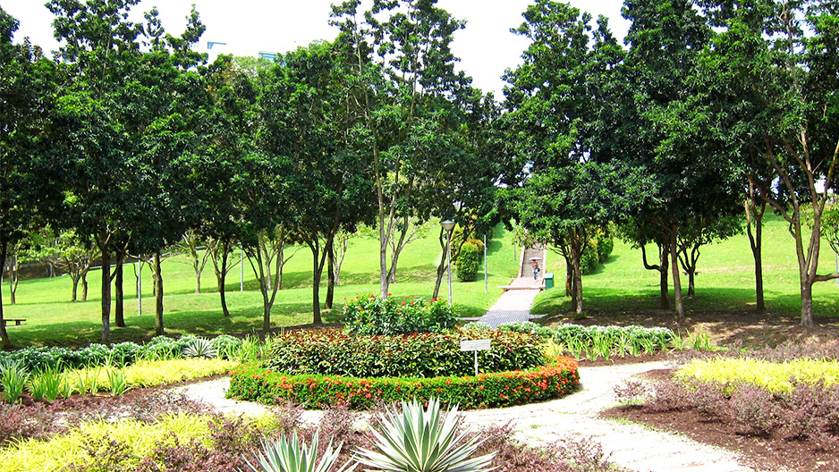 park detail carousel