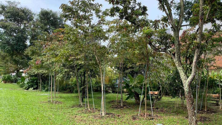 park detail carousel