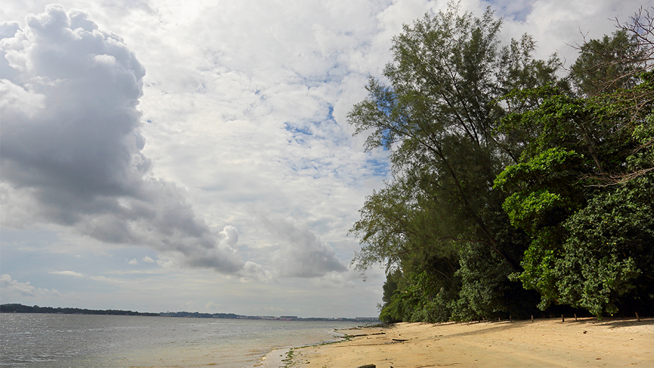 park detail carousel