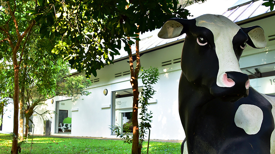 park detail carousel