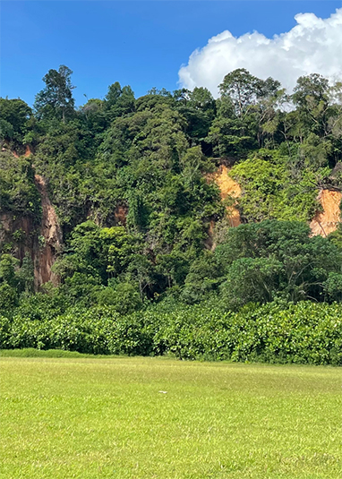 Dairy Farm Nature Park