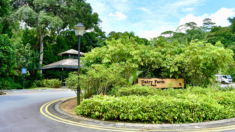 park detail carousel