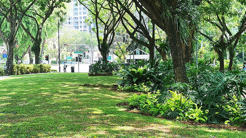 park detail carousel
