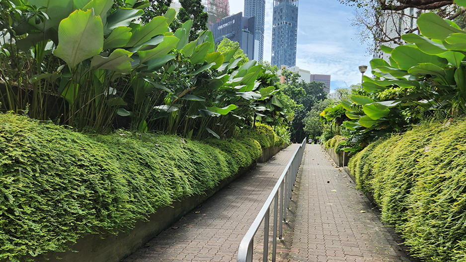 park detail carousel