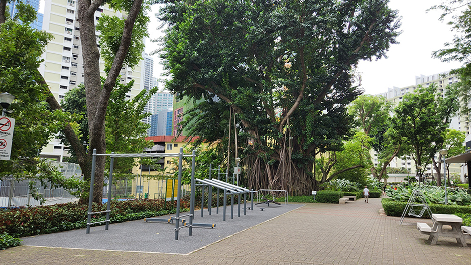 park detail carousel