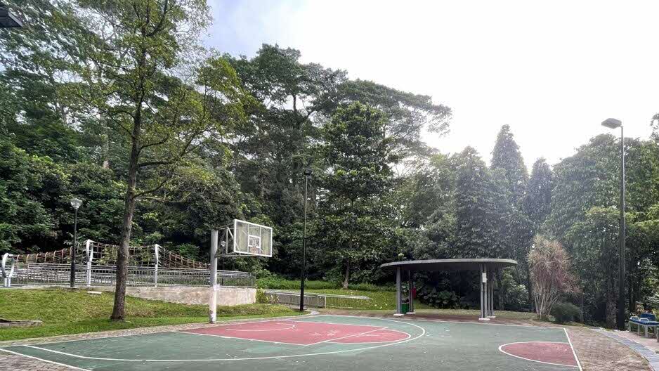 park detail carousel