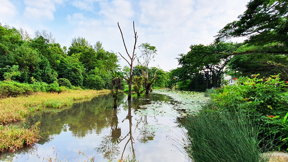 park detail carousel