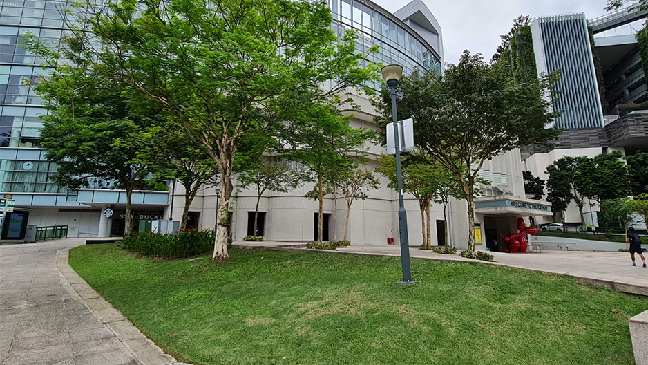 park detail carousel