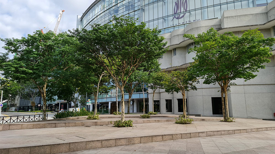park detail carousel