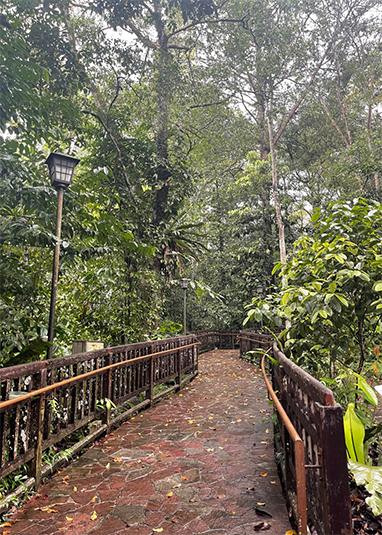 Hindhede Nature Park