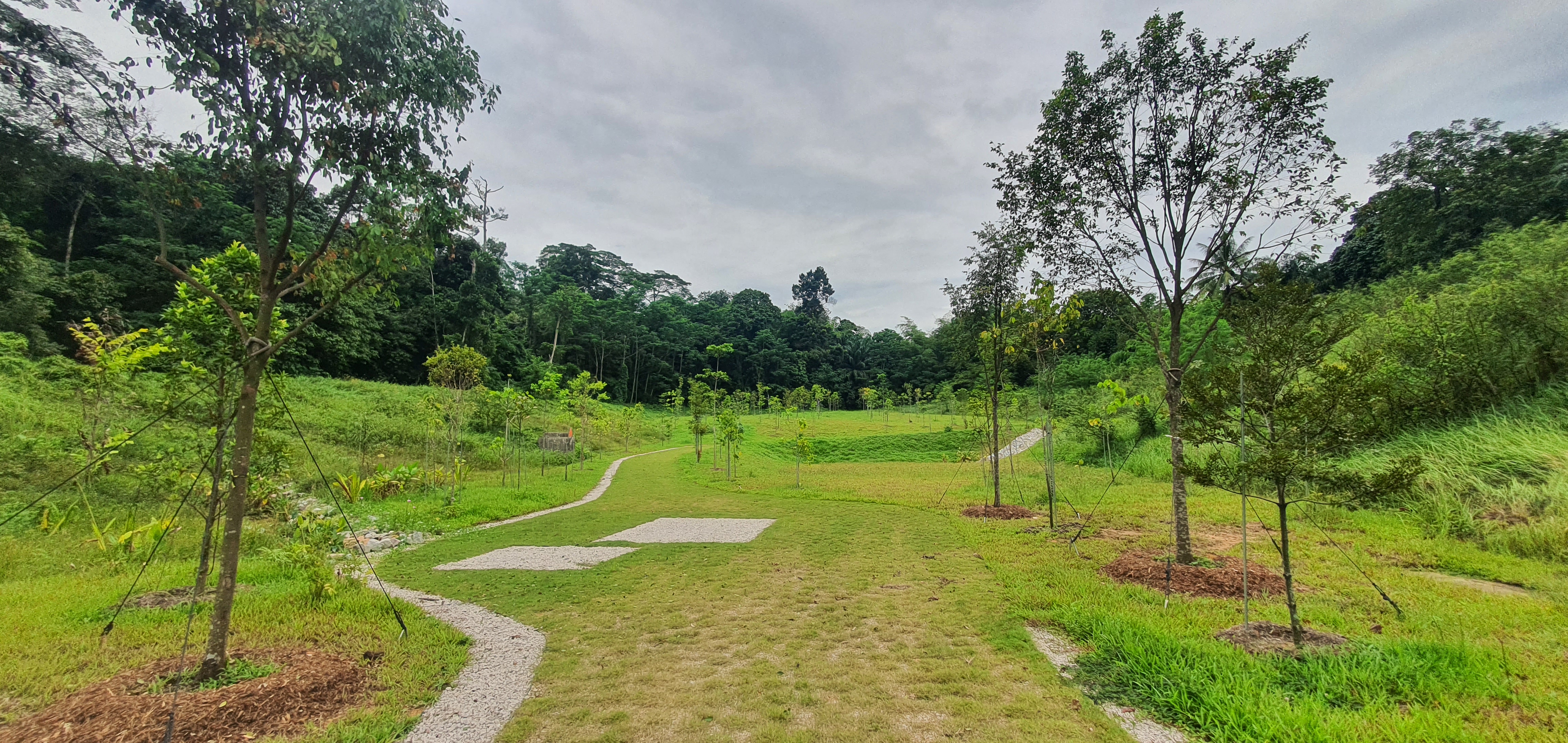 park detail carousel