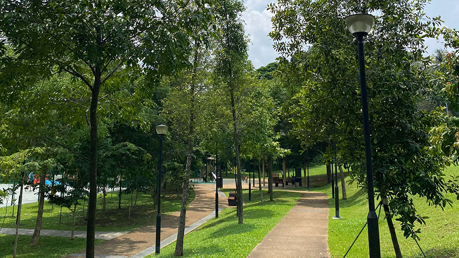park detail carousel