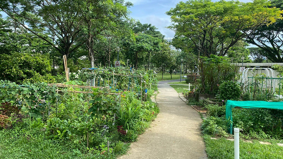 park detail carousel