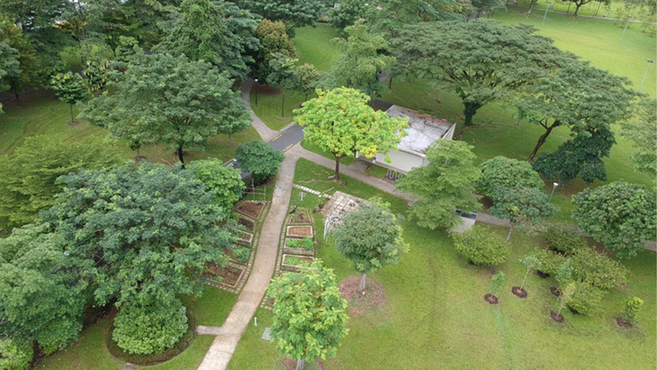 park detail carousel