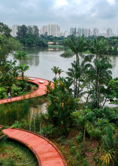 Jurong Lake Gardens