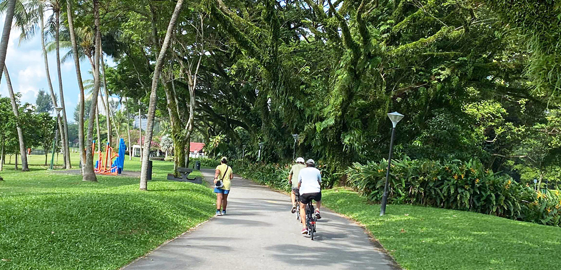 Cycling or inline skating