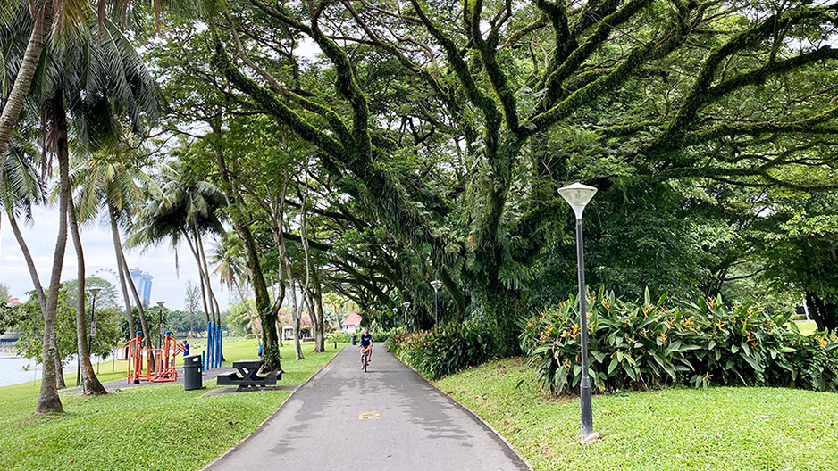 park detail carousel