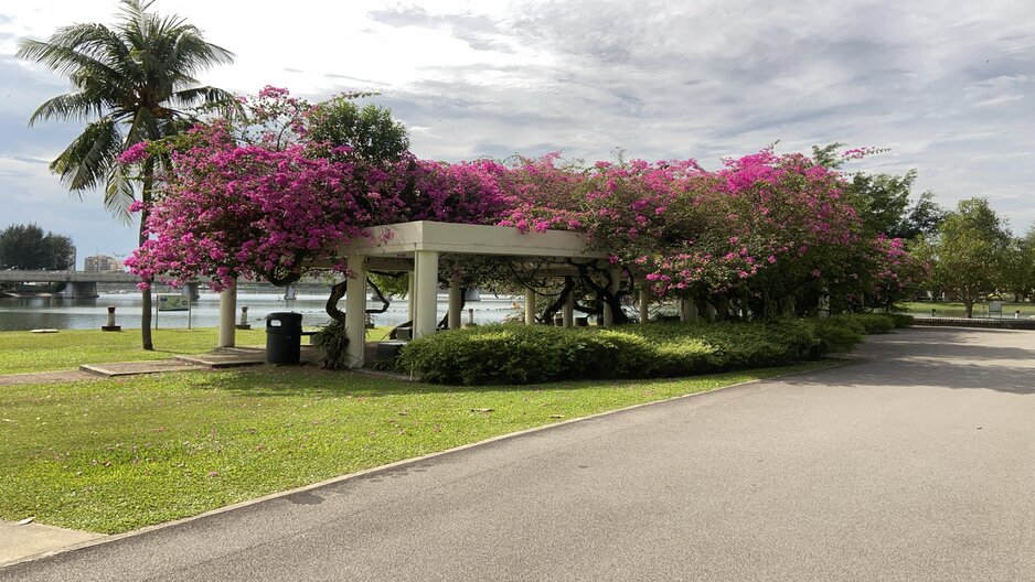 park detail carousel