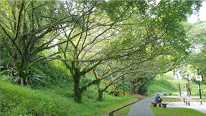 Exercise and workout equipment