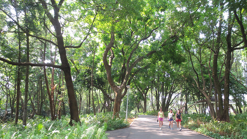 park detail carousel