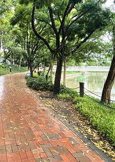 Kim Seng Park