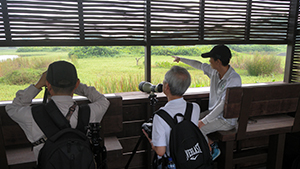 Hideout shelters and blinds