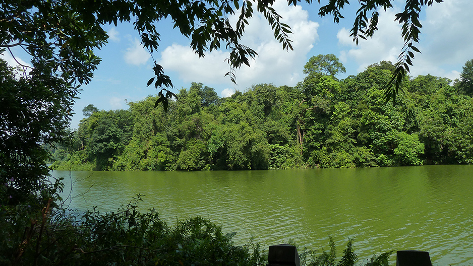 park detail carousel