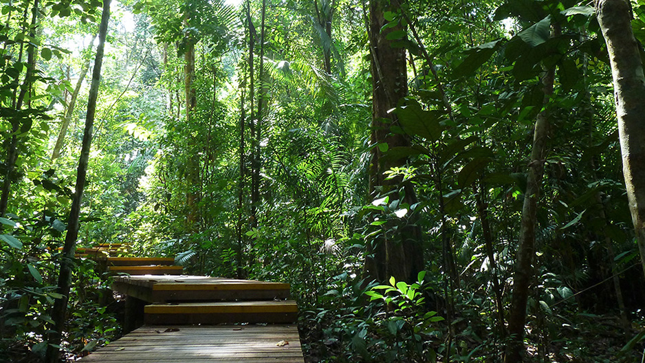 park detail carousel