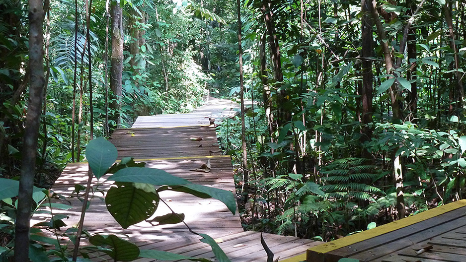park detail carousel
