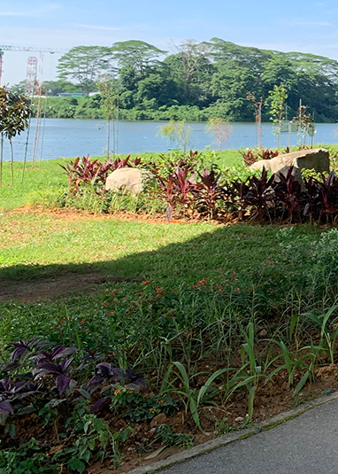 Lower Seletar Reservoir Park