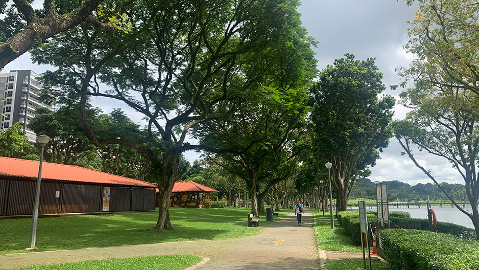 park detail carousel