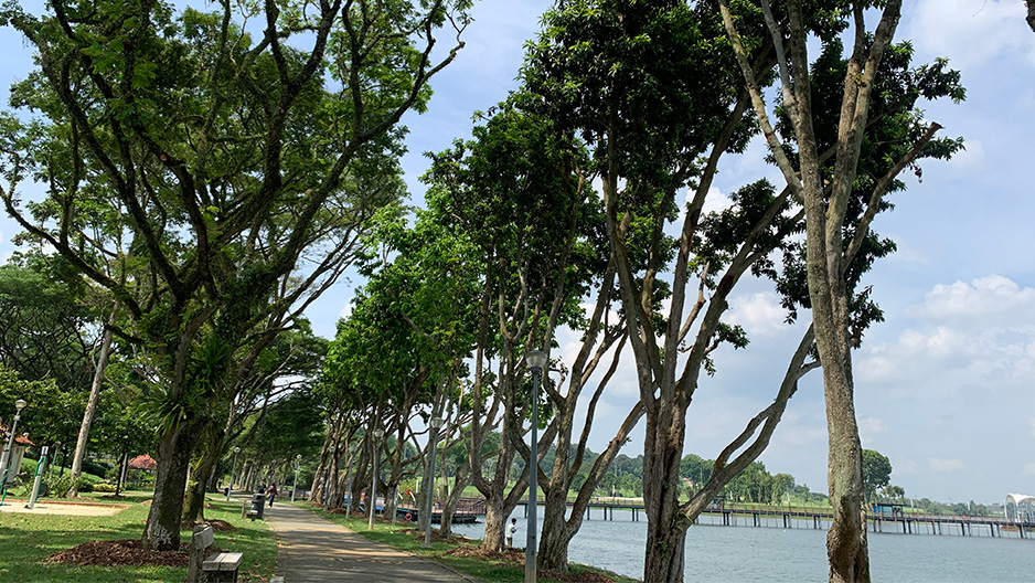 park detail carousel
