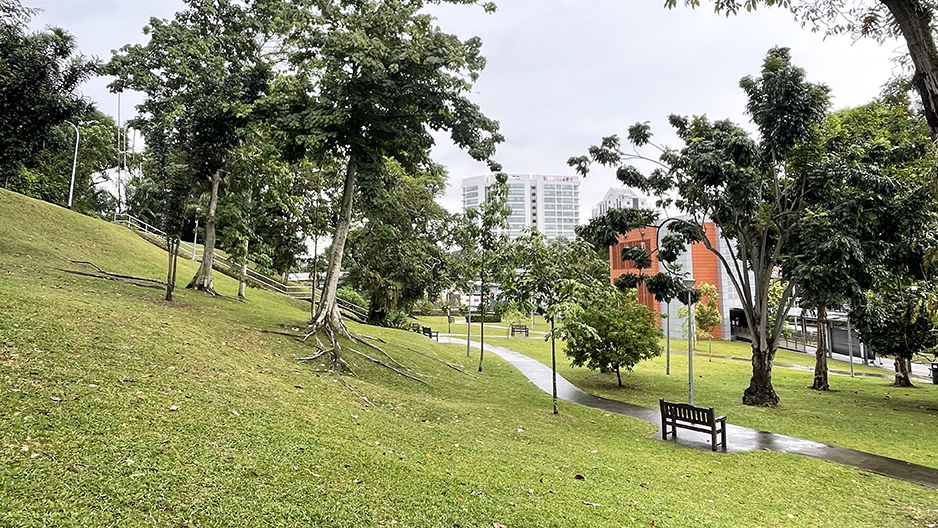 park detail carousel