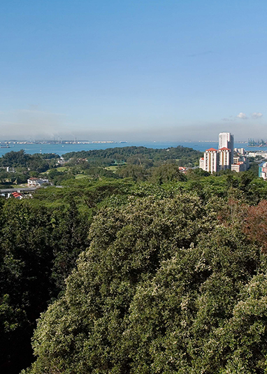 Mount Faber Park
