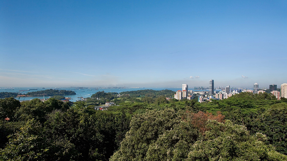 park detail carousel