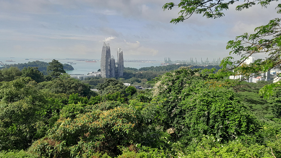 park detail carousel