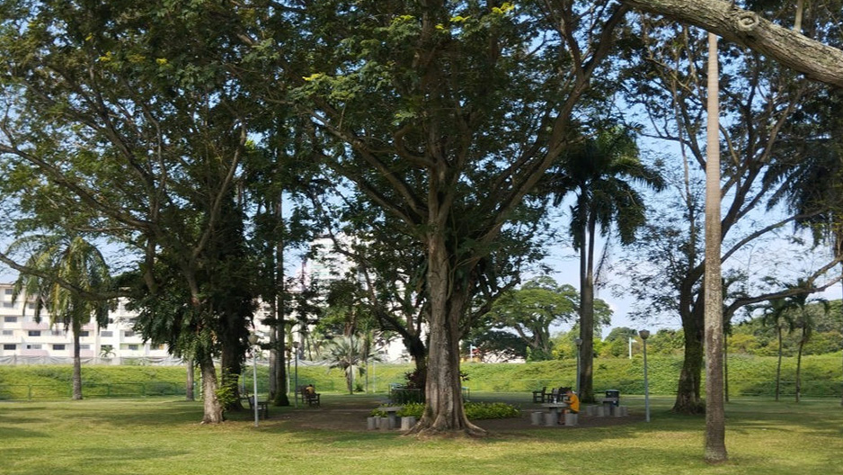 park detail carousel