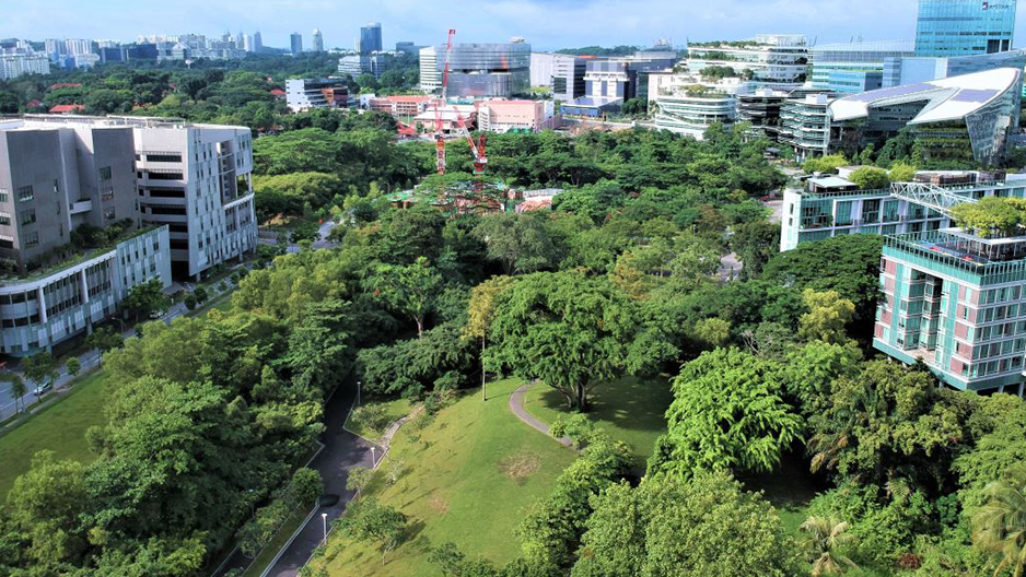 park detail carousel