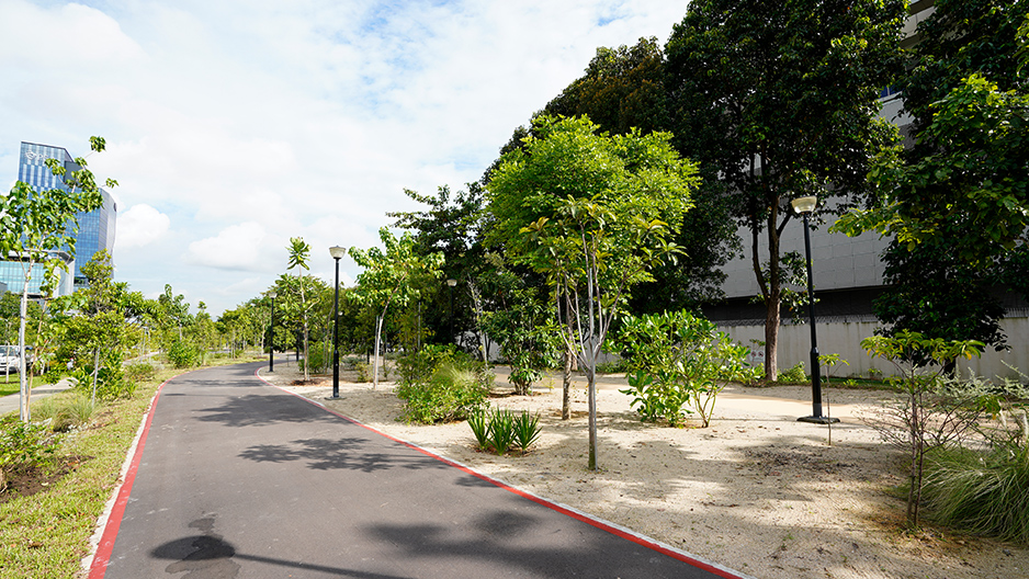 park detail carousel