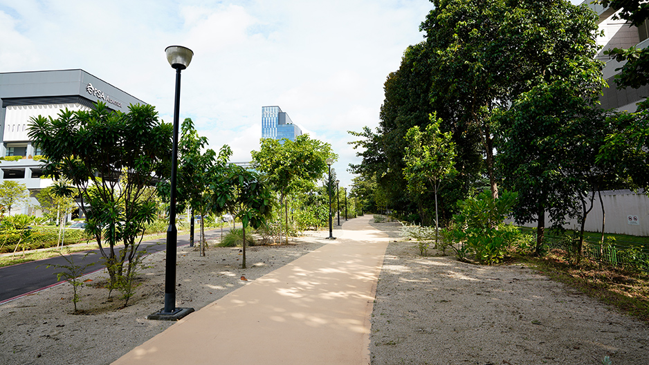 park detail carousel