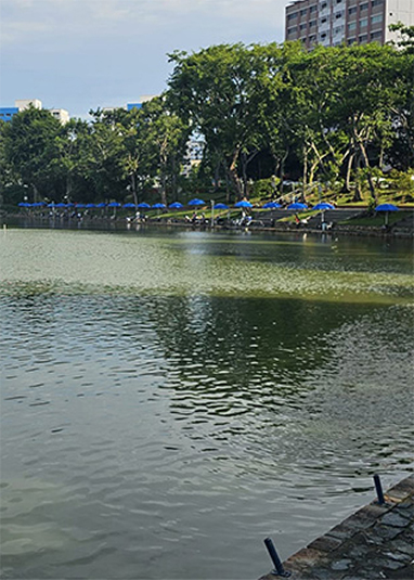 Pasir Ris Town Park