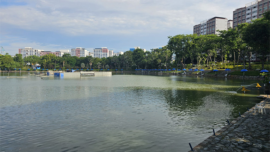 park detail carousel