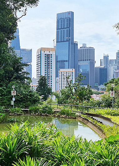 Pearl's Hill City Park