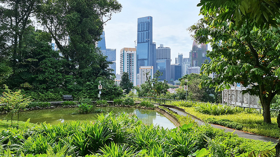 park detail carousel
