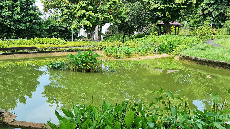 park detail carousel