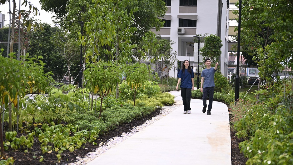 park detail carousel