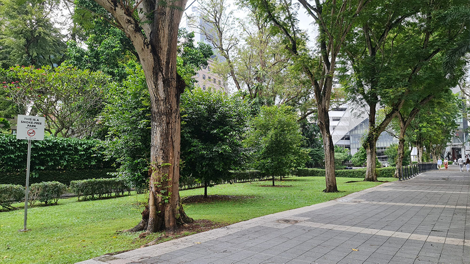 park detail carousel
