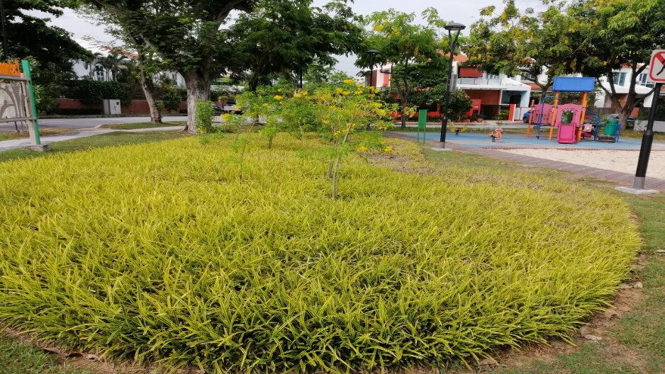 park detail carousel