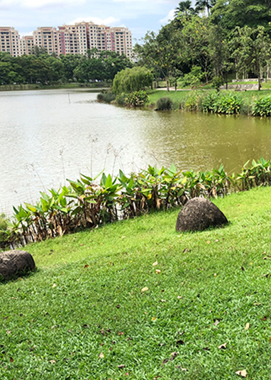 Punggol Park